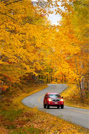 Millinocket to Baxter State Park Road, Maine, New England, United States of America, North America Stock Photo - Rights-Managed, Code: 841-06344222