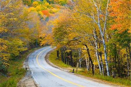 Grafton Notch State Park, dans le Maine, New England, États-Unis d'Amérique, l'Amérique du Nord Photographie de stock - Rights-Managed, Code: 841-06344270