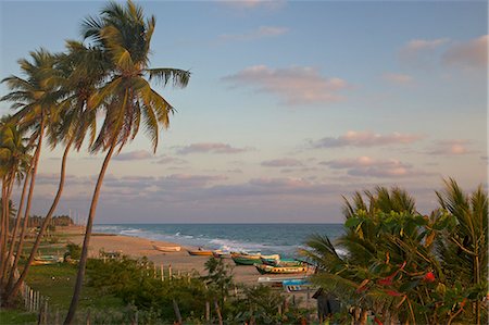 simsearch:841-03061777,k - Sunrise on Nilaveli beach,  Trincomalee,  Sri Lanka, Asia Stock Photo - Rights-Managed, Code: 841-06344390