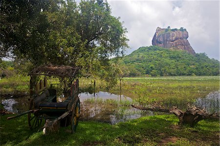 simsearch:841-06344402,k - Lion Rock forteresse, Site du patrimoine mondial de l'UNESCO, Sigiriya, Sri Lanka, Asie Photographie de stock - Rights-Managed, Code: 841-06344402