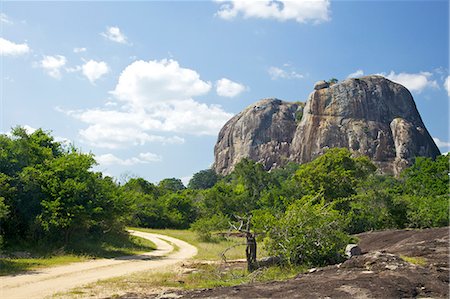 Elephant Rock forest track, Parc National de Yala, Sri Lanka, Asie Photographie de stock - Rights-Managed, Code: 841-06344447