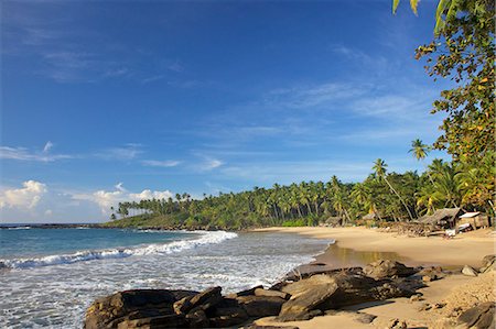 View of the unspoilt beach at Palm Paradise Cabanas, Tangalle, South coast, Sri Lanka, Asia Stock Photo - Rights-Managed, Code: 841-06344466