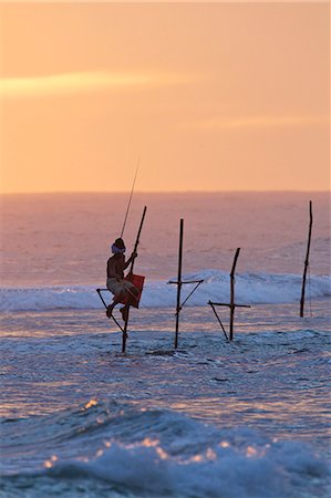sri lankan - Stilt fisherman at Weligama, South Coast, Sri Lanka, Asia Stock Photo - Rights-Managed, Code: 841-06344468
