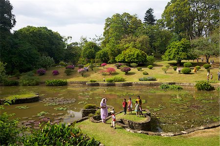 Visiteurs dans le Royal Botanical Garden, Peradeniya, Kandy, Sri Lanka, Asie Photographie de stock - Rights-Managed, Code: 841-06344483