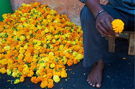 Oeillets d'Inde, marché aux fleurs, Madurai, Tamil Nadu, Inde, Asie Photographie de stock - Rights-Managed, Code: 841-06344639