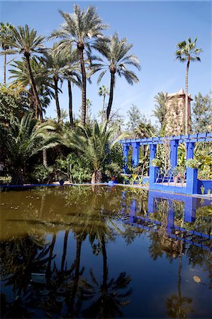 pond garden - Majorelle Gardens, Marrakesh, Morocco, North Africa, Africa Stock Photo - Rights-Managed, Code: 841-06344795