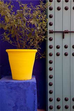 Majorelle Gardens, Marrakesh, Morocco, North Africa, Africa Foto de stock - Con derechos protegidos, Código: 841-06344801