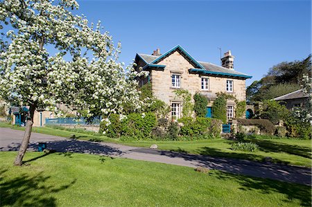 placing - Edensor Village, Chatsworth Estate, Derbyshire, England, United Kingdom, Europe Stock Photo - Rights-Managed, Code: 841-06344844