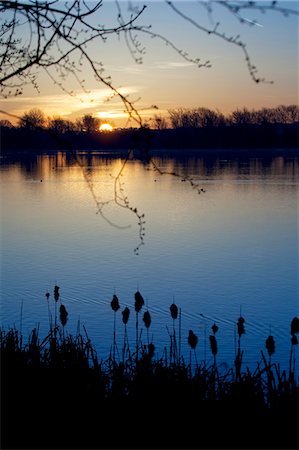 Sunrise over Kingsmill Reservoir, Sutton in Ashfield, Nottinghamshire, England, United Kingdom, Europe Foto de stock - Con derechos protegidos, Código: 841-06344865