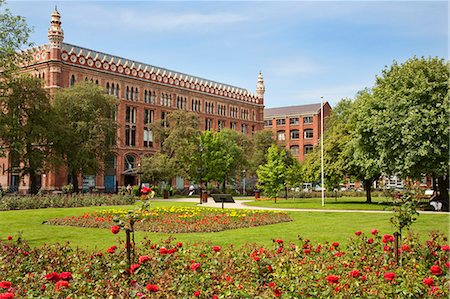 Roses in bloom in Park Square, Leeds, West Yorkshire, Yorkshire, England, United Kingdom, Europe Foto de stock - Con derechos protegidos, Código: 841-06345108