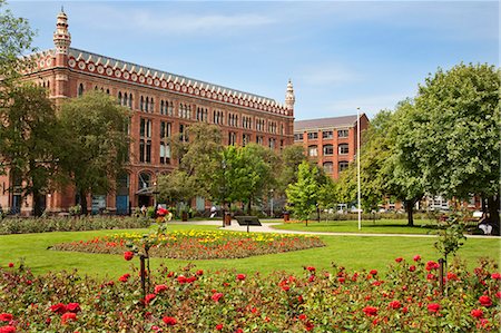 Roses in bloom in Park Square, Leeds, West Yorkshire, Yorkshire, England, United Kingdom, Europe Stock Photo - Rights-Managed, Code: 841-06345108