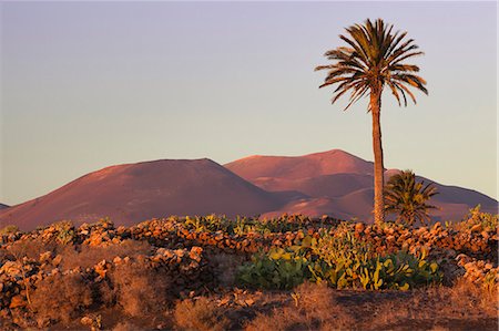 simsearch:841-06345247,k - Parque Nacional de Timanfaya (Timanfaya National Park) with Montanas del Fuego, Yaiza, Lanzarote, Canary Islands, Spain Foto de stock - Con derechos protegidos, Código: 841-06345248