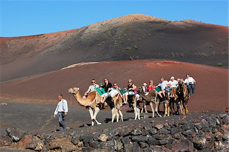 Dromedary ride on slopes of Timanfaya mountain, Timanfaya National Park, Lanzarote, Canary Islands, Spain, Europe Stock Photo - Rights-Managed, Code: 841-06345253