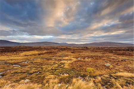 Dawn over open expanse of Rannoch Moor, near Glencoe, Scottish Highlands, Scotland Foto de stock - Direito Controlado, Número: 841-06345387
