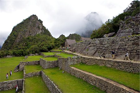 simsearch:862-03360473,k - Agricultural terraces, Machu Picchu, peru, peruvian, south america, south american, latin america, latin american South America. The lost city of the Inca was rediscovered by Hiram Bingham in 1911 Foto de stock - Con derechos protegidos, Código: 841-06345462