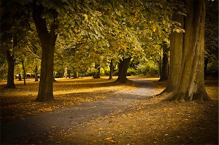 regent's park - Chemin d'automne à Regents Park, Londres, Royaume-Uni, Europe Photographie de stock - Rights-Managed, Code: 841-06340798