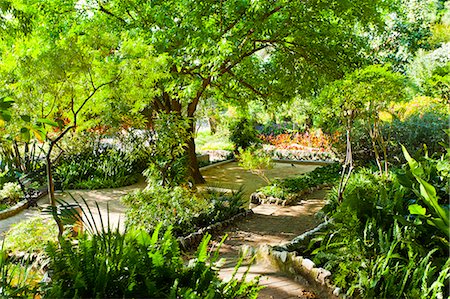 Alameda Gardens, Gibraltar, Europe Foto de stock - Con derechos protegidos, Código: 841-06340884