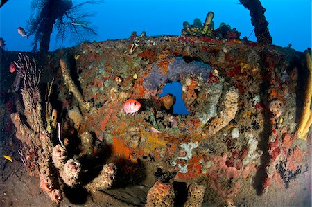 simsearch:841-06340961,k - Coral encrusted porthole on the Lesleen M wreck, a freighter sunk as an artificial reef in 1985 off Anse Cochon Bay, St. Lucia, West Indies, Caribbean, Central America Stock Photo - Rights-Managed, Code: 841-06340927