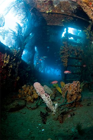 simsearch:841-06340977,k - Coral growth inside the wreck of the Lesleen M freighter, sunk as an artificial reef in 1985 in Anse Cochon Bay, St. Lucia, West Indies, Caribbean, Central America Stock Photo - Rights-Managed, Code: 841-06340948