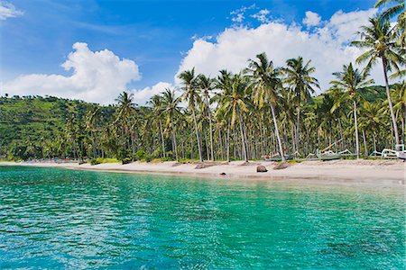 palm trees blue sky - Palm trees, Nippah Beach, Lombok, West Nusa Tenggara, Indonesia, Southeast Asia, Asia Foto de stock - Con derechos protegidos, Código: 841-06341144