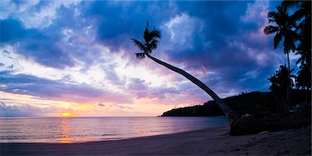 Silhouette d'arbre palmier au coucher du soleil sur le paradis tropical de l'île de Lombok, Indonésie, Asie du sud-est, Asie Photographie de stock - Rights-Managed, Code: 841-06341147