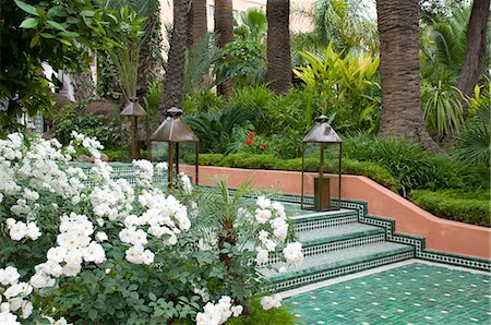 White roses and palm trees in the garden at La Mamounia Hotel in Marrakech, Morocco, North Africa, Africa Stock Photo - Rights-Managed, Code: 841-06341300