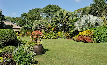 simsearch:841-06341368,k - A tropical garden with colorful borders around a large lawn, Philippines, Southeast Asia, Asia Foto de stock - Direito Controlado, Número: 841-06341366