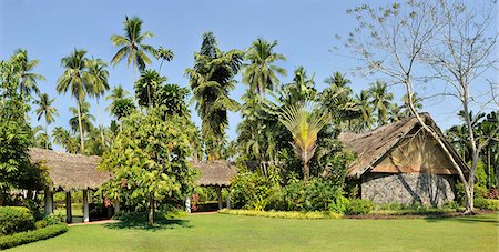 Lawn with a flowering Amherstia nobilis, Villa Escudero, San Pablo, Philippines, Southeast Asia, Asia Stock Photo - Rights-Managed, Code: 841-06341363