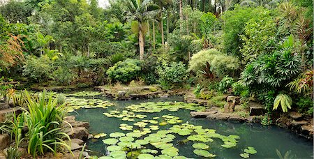 pond garden - Garden designed by famed Filipino artist and garden designer Jerry Araos in Antipolo, Philippines, Southeast Asia, Asia Stock Photo - Rights-Managed, Code: 841-06341371