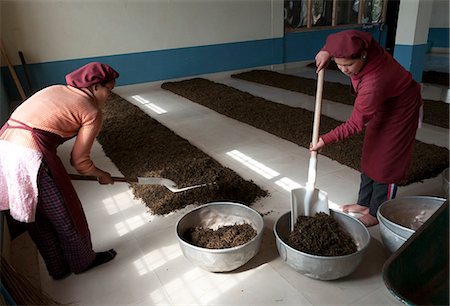 simsearch:841-06445627,k - Intérieur de l'usine de thé, thé du Népal est essentiellement identique au thé de Darjeeling, Fikkal, Népal, Asie Photographie de stock - Rights-Managed, Code: 841-06341768