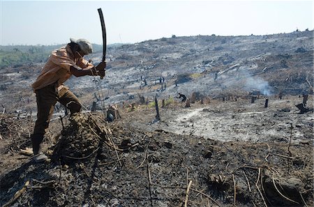 Man slashing vegetation on a burnt hill side after deforestation beside road from Pathein to Mawdin Sun, Irrawaddy Delta, Myanmar (Burma), Asia Foto de stock - Con derechos protegidos, Código: 841-06341814