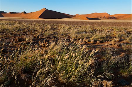 désert de namibie - Dunes de sable, Sossusvlei, Namib Naukluft Park, désert de Namib, en Namibie, Afrique Photographie de stock - Rights-Managed, Code: 841-06342165