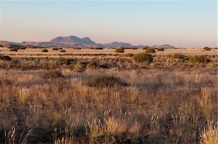savanna landscape - Huab River Valley, Torra Conservancy, Damaraland, Namibia, Africa Stock Photo - Rights-Managed, Code: 841-06342196