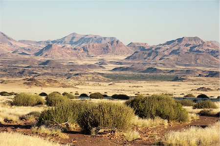 Vallée de la rivière Huab, Torra Conservancy, Damaraland, Namibie, Afrique Photographie de stock - Rights-Managed, Code: 841-06342193