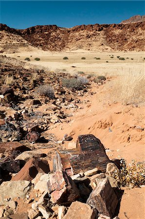 Petrified tree, Huab River Valley, Torra Conservancy, Damaraland, Namibia, Africa Stock Photo - Rights-Managed, Code: 841-06342209