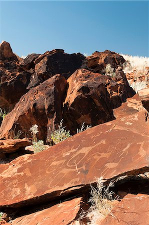 Rock engravings, Huab River Valley, Torra Conservancy, Damaraland, Namibia, Africa Stock Photo - Rights-Managed, Code: 841-06342214