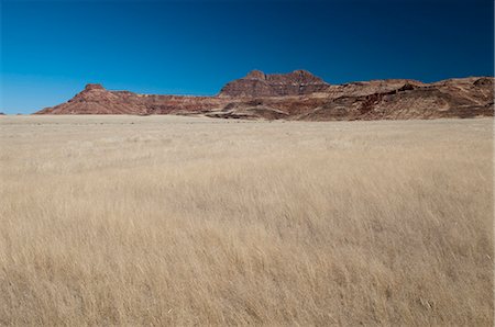 savanna - Huab River Valley, Torra Conservancy, Damaraland, Namibia, Africa Stock Photo - Rights-Managed, Code: 841-06342211