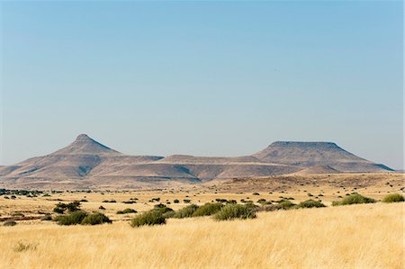 Palmwag Concession, Damaraland, Namibie, Afrique Photographie de stock - Rights-Managed, Code: 841-06342252