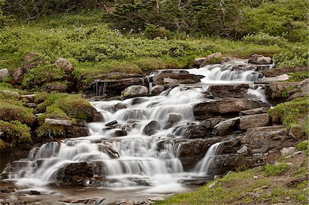 scorrere - Falls on Logan Creek, Glacier National Park, Montana, United States of America, North America Fotografie stock - Rights-Managed, Codice: 841-06342581