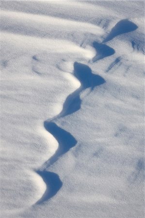 pattern usa not people not illustration - Neige formes, Bosque del Apache National Wildlife Refuge, au Nouveau-Mexique, États-Unis d'Amérique, l'Amérique du Nord Photographie de stock - Rights-Managed, Code: 841-06342653