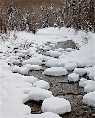 river in forest - Snow pillows on the Dolores River, San Juan National Forest, Colorado, United States of America, North America Stock Photo - Rights-Managed, Code: 841-06342665