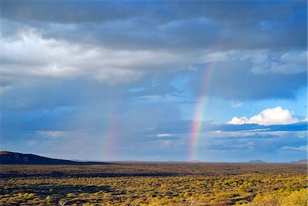 regenbogen - Rainbows, Ongava Game Reserve, Namibia, Africa Foto de stock - Con derechos protegidos, Código: 841-06342676