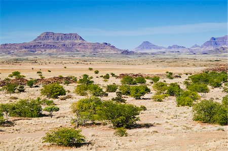 simsearch:841-06342677,k - Damaraland, Kunene Region, Namibia, Africa Foto de stock - Con derechos protegidos, Código: 841-06342705