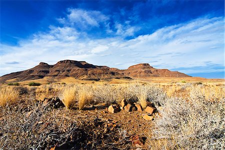 Vallée de la rivière Huab région du Damaraland, Kunene région, Namibie, Afrique Photographie de stock - Rights-Managed, Code: 841-06342711