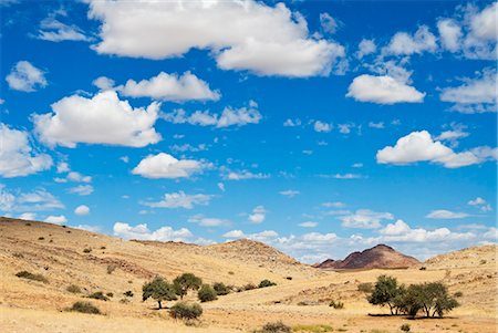 Désert de Namib, en Namibie, Afrique Photographie de stock - Rights-Managed, Code: 841-06342745