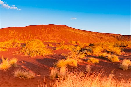 Sossusvlei, Namib Desert, Namib Naukluft Park, Namibia, Africa Foto de stock - Con derechos protegidos, Código: 841-06342749