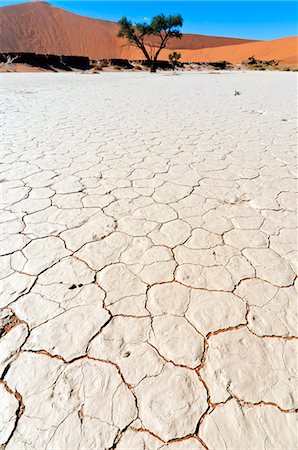 salt plains of africa - Sossusvlei, Namib Desert, Namib Naukluft Park, Namibia, Africa Stock Photo - Rights-Managed, Code: 841-06342756