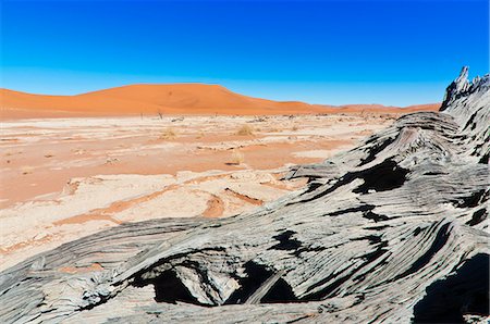 Sossusvlei, désert du Namib, Namib Naukluft Park, Namibie, Afrique Photographie de stock - Rights-Managed, Code: 841-06342757