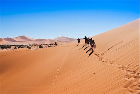 Vue des dunes de Sossusvlei, désert du Namib, Namib Naukluft Park, Namibie, Afrique Photographie de stock - Rights-Managed, Code: 841-06342758