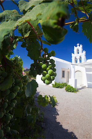 Raisins et église, Santorin, Cyclades, îles grecques, Grèce, Europe Photographie de stock - Rights-Managed, Code: 841-06343309
